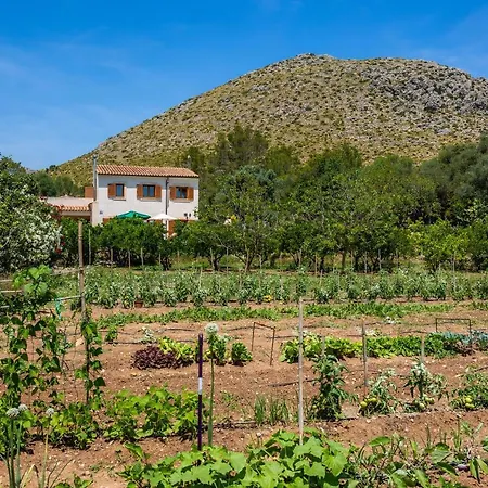 Maria Port de Pollença