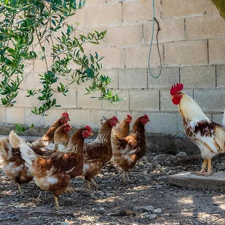 Maria Port de Pollença