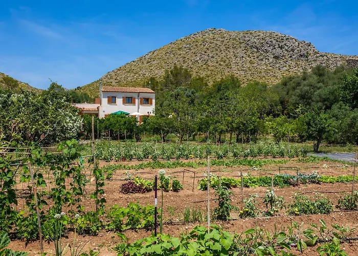 Maria Port de Pollença
