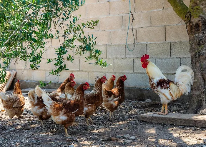 Maria Порт-де-Польєнса